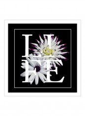 Floral Graphic II Wall Poster Black/White/Purple 80x80x3.5centimeter