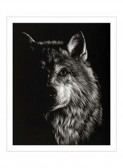 Scratchboard Wolf III Wall Poster Black/White 80x85x3.5centimeter