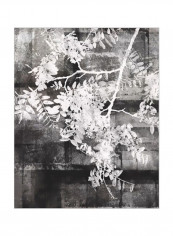 Your Year I Wall Poster Black/White/Grey 80x85x3.5centimeter