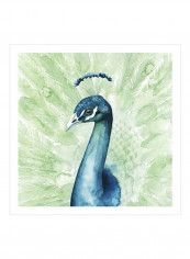 Lucent Plume II Wall Poster Green/Blue 80x80x3.5centimeter