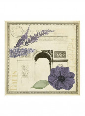 Paris Ephemera IV Poster Beige/Purple/Green 80x80x3.5centimeter