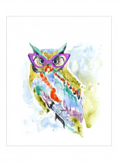 Smarty-Pants Owl Poster Green/Purple/Blue 80x85x3.5centimeter