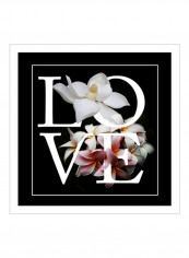 Floral Graphic I Wall Poster Black/White/Pink 80x80x3.5centimeter
