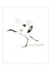 Japanese Cranes III Wall Poster White/Black 80x85x3.5centimeter