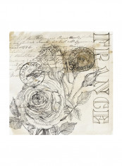 Rose Romance III Wall Poster Beige/Black 80x80x3.5centimeter
