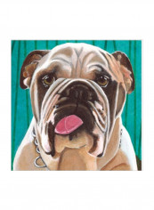 Dlynns Dogs - Bosco Wall Poster Multicolour 75x75x3.5centimeter