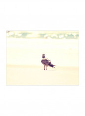 Go Right Wall Poster White/Green/Purple 80x75x3.5centimeter