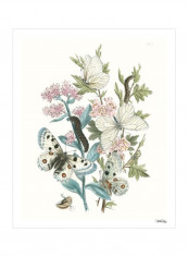 British Butterflies III Wall Poster Pink/Green/Blue 80x3.5x85centimeter