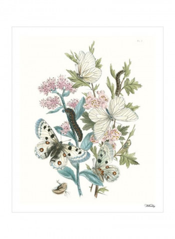 British Butterflies III Wall Poster Pink/Green/Blue 80x3.5x85centimeter