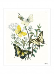 British Butterflies II Wall Poster Yellow/Green/Brown 80x3.5x85centimeter