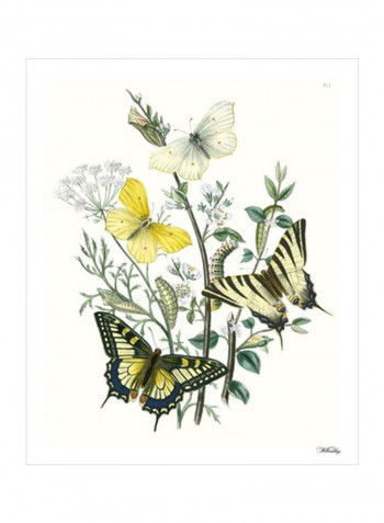 British Butterflies II Wall Poster Yellow/Green/Brown 80x3.5x85centimeter