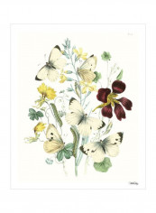 British Butterflies IV Wall Poster Yellow/Green/Red 80x3.5x85centimeter