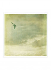 Did You Forget II Wall Poster Green/White 80x80x3.5centimeter