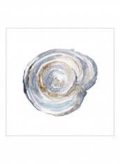 Watercolor Tree Ring III Poster Blue/Brown/White 80x80x3.5centimeter