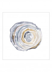 Watercolor Tree Ring IV Poster Blue/Brown/White 80x80x3.5centimeter