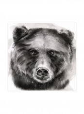 Bear Grin I Wall Poster Black/White 80x80 3.5centimeter
