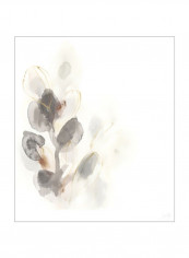 Seed Pod I Wall Poster Grey/Beige/White 80x80x3.5centimeter