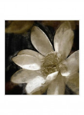 Bronze Lily I Poster White/Brown 80x80x3.5centimeter