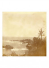 Hali'a Aloha VIII Wall Poster Beige/Brown 80x80x3.5centimeter