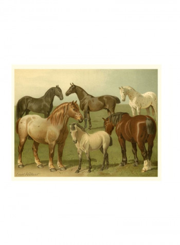 Horse Breeds II Wall Poster Green/Brown/White 80x75x3.5centimeter