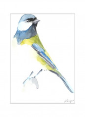 Watercolor Songbirds I Wall Poster Blue/Green/White 60x70x3.5centimeter