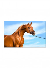 Amazing Horse On Sky Background On Canvas Painting Brown 70x45centimeter