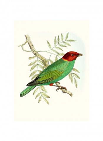 On Perch V Wall Poster Green/Red/Grey 75x80 3.5centimeter
