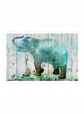 Blue Elephant Poster Blue 80x75x3.5centimeter