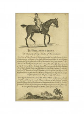 Horse Portraiture V Wall Poster Brown/Grey 75x85x3.5centimeter
