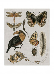 Nature Studies I Wall Poster Grey/Brown/Black 80x85x3.5centimeter