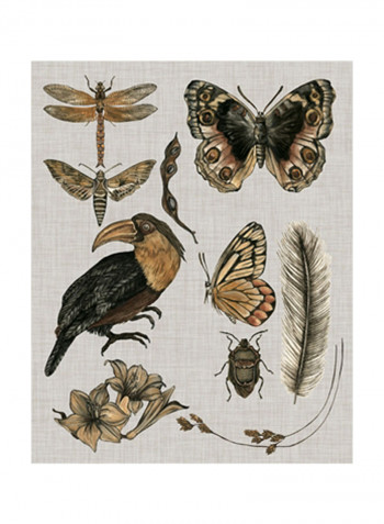 Nature Studies I Wall Poster Grey/Brown/Black 80x85x3.5centimeter