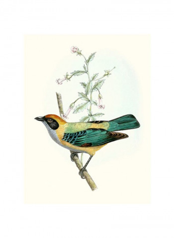 On Perch II Wall Poster Blue/Yellow/Brown 75x80 3.5centimeter