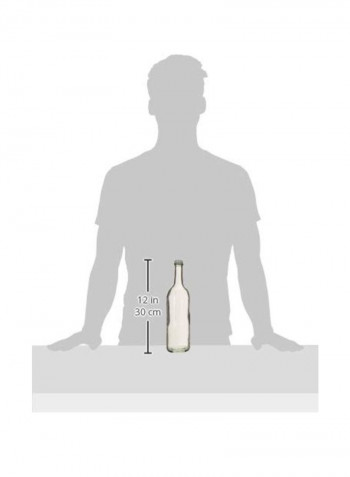 Screw Cap Bottle Clear/Silver