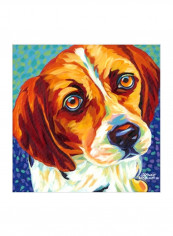 Dogs in Color II Wall Poster Multicolour 75x75x3.5centimeter