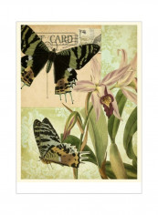 Natures Tapestry IV Poster Black/Green/Beige 75x80x3.5centimeter