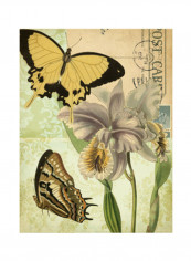 Natures Tapestry I Poster Yellow/Green/Beige 75x80x3.5centimeter