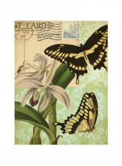 Natures Tapestry II Poster Black/Green/Beige 75x80x3.5centimeter