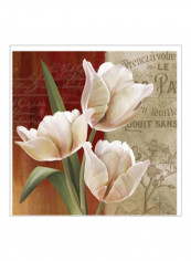 French Tulip Collage II Wall Poster Beige/White/Red 75x75x3.5centimeter