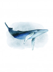 Watercolour Humpback I Poster Blue/White reviews Watercolour Humpback I Poster Blue/White