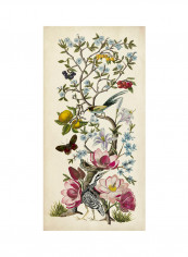 Chinoiserie Natura II Poster Multicolour reviews Chinoiserie Natura II Poster Multicolour