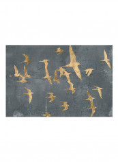 Silhouettes In Flight IV Poster Multicolour reviews Silhouettes In Flight IV Poster Multicolour