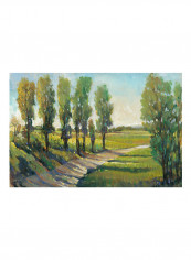 Lush Landscape I Poster Green reviews Lush Landscape I Poster Green