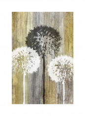 Rustic Garden II Poster Multicolour reviews Rustic Garden II Poster Multicolour
