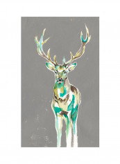 Solitary Deer II Poster Multicolour reviews Solitary Deer II Poster Multicolour