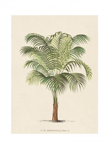 Les Palmiers II Poster Green