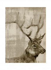Sepia Elk Poster Multicolour reviews Sepia Elk Poster Multicolour