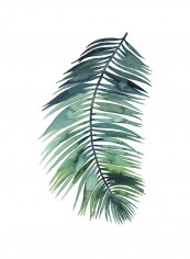 Untethered Palm VIII Poster Multicolour reviews Untethered Palm VIII Poster Multicolour