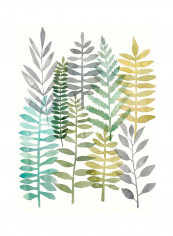Watercolour Botany II Poster Green/Blue/Grey reviews Watercolour Botany II Poster Green/Blue/Grey