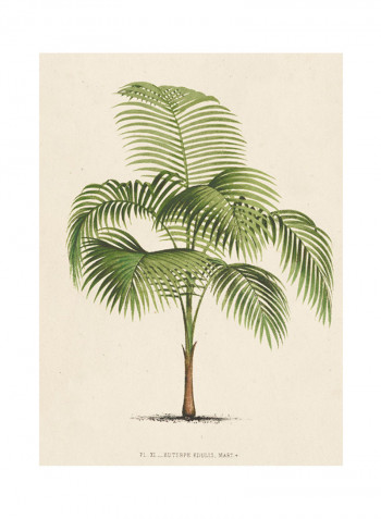 Les Palmiers I Poster Green