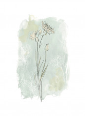 Stone Flower Canvas Print Multicolour reviews Stone Flower Canvas Print Multicolour